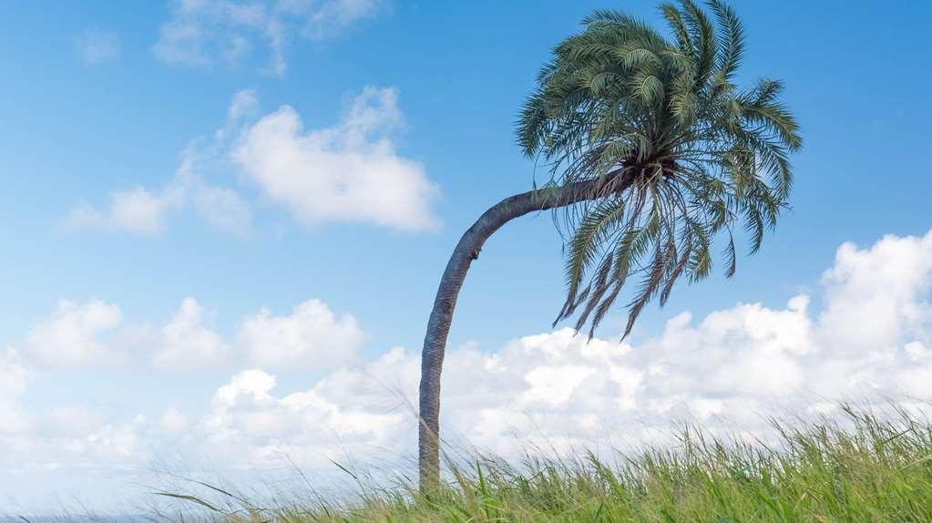 百丽山农场别墅 - 吉迪蒂安山 Basseterre 外观 照片